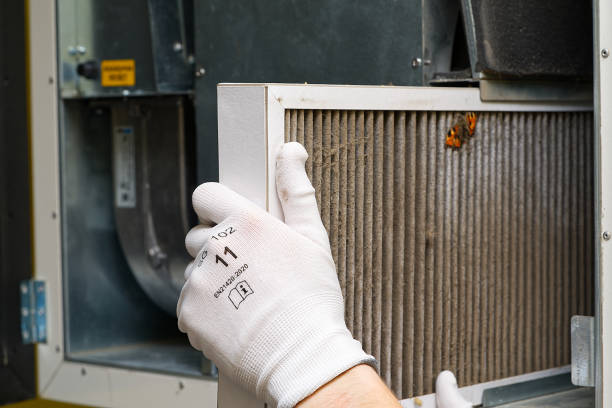 Best Affordable Air Duct Cleaning  in Sandwich, IL